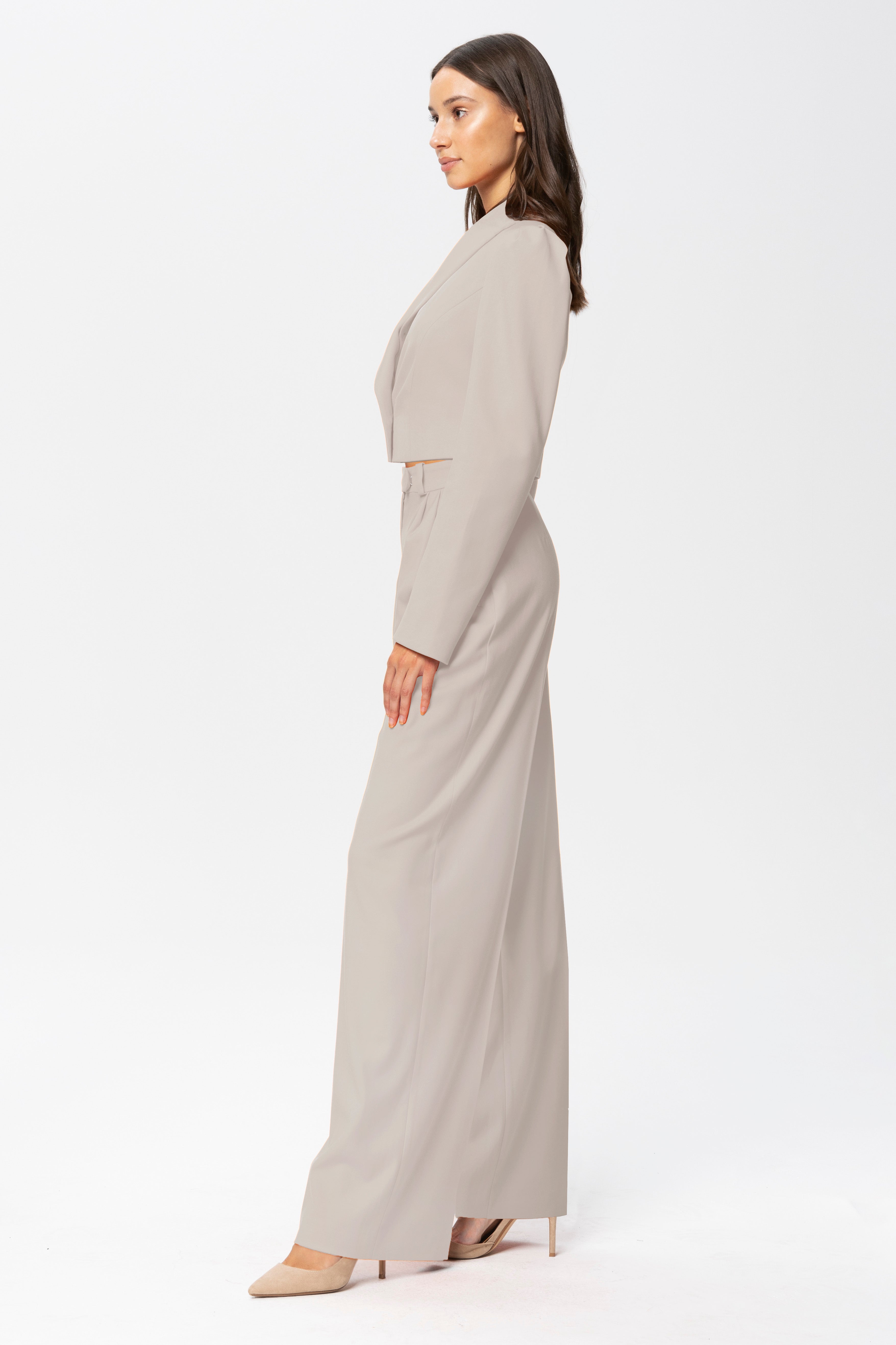 High-Rise Wide-Leg Suit Pants Beige